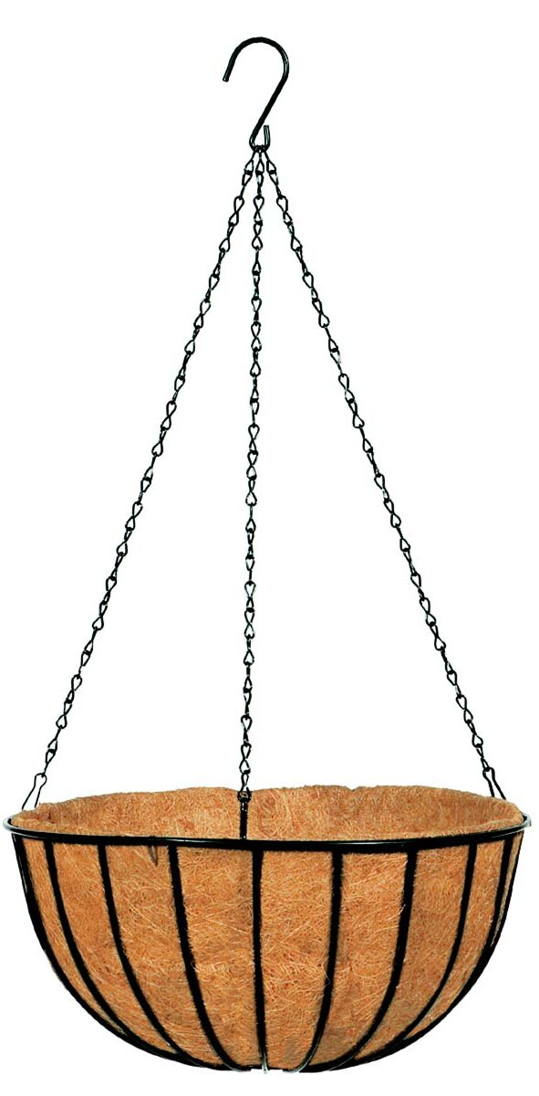 How to Build a Hanging Basket FineGardening