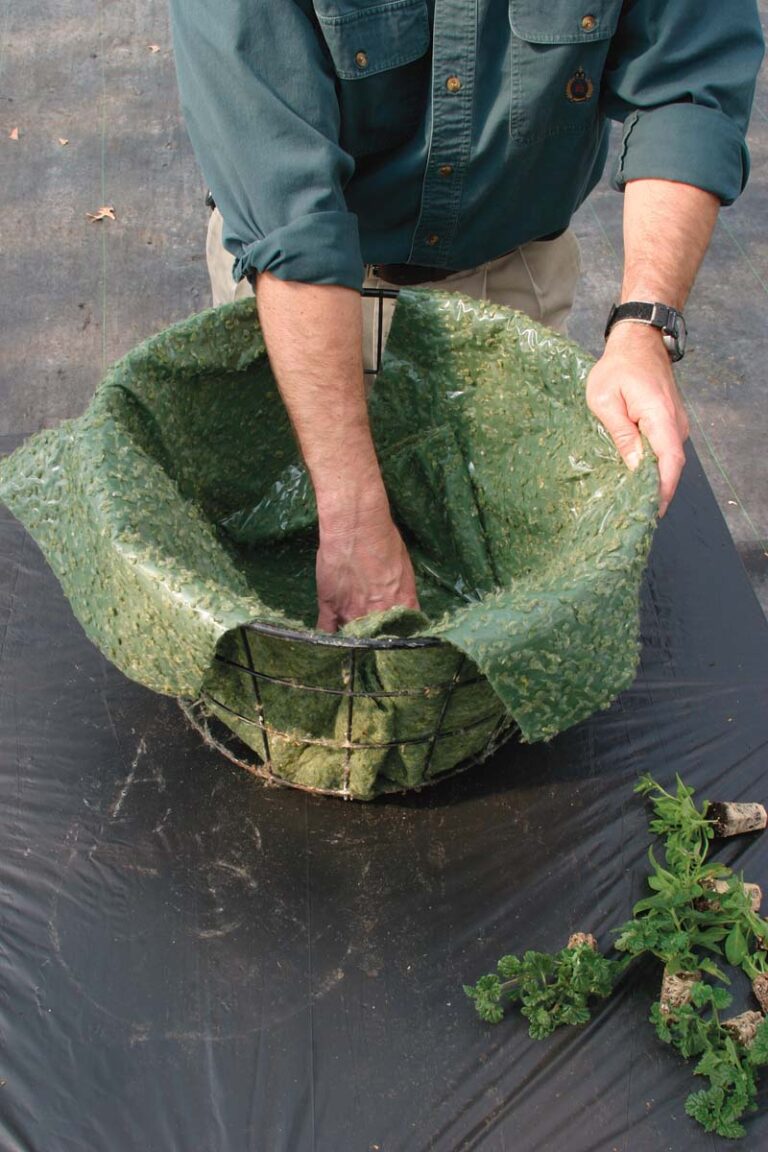 How to Build a Hanging Basket FineGardening