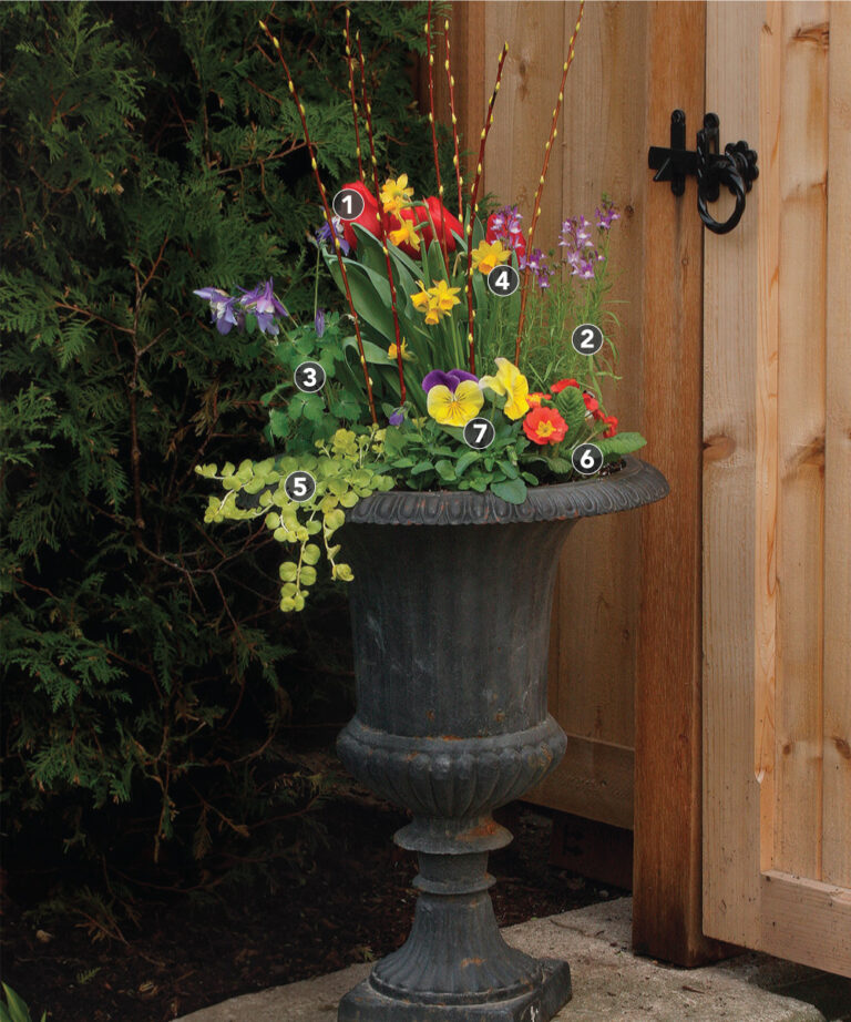 Spring Containers for Every Style FineGardening
