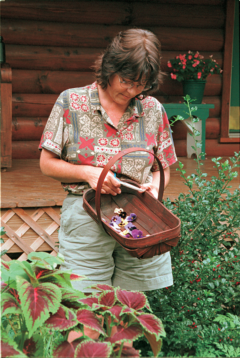 Picking flowers to press