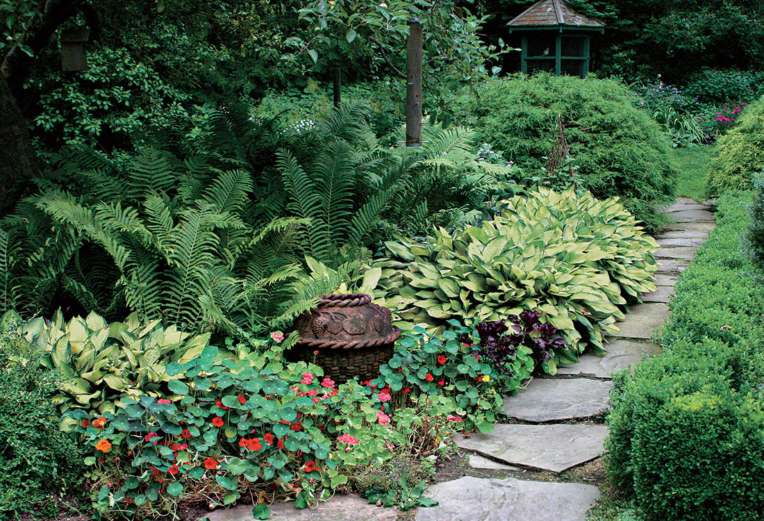 stone path in front of a shade garden that has an empty pot as a focal point