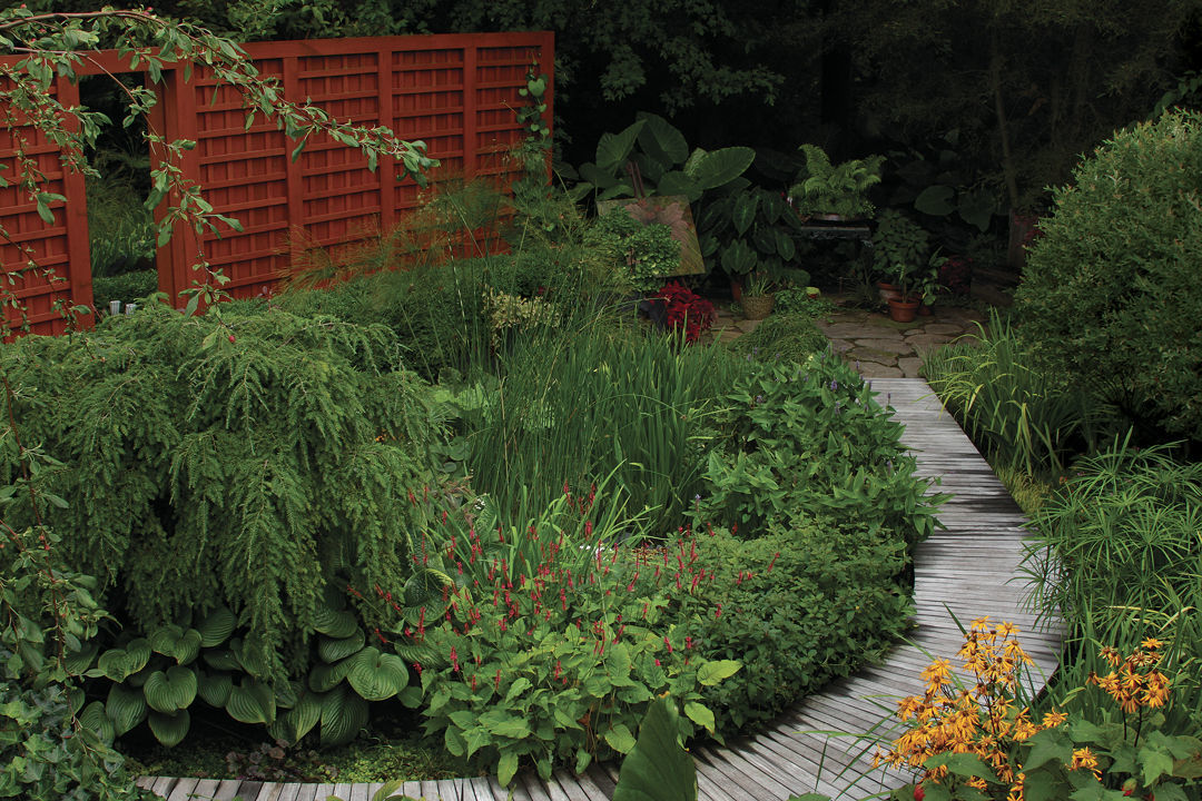 How to Plant in a Muddy Spot