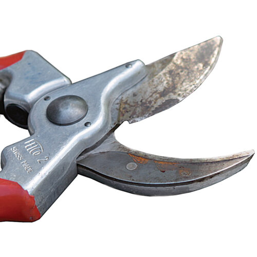 The Comprehensive Way to Sharpen Pruners FineGardening