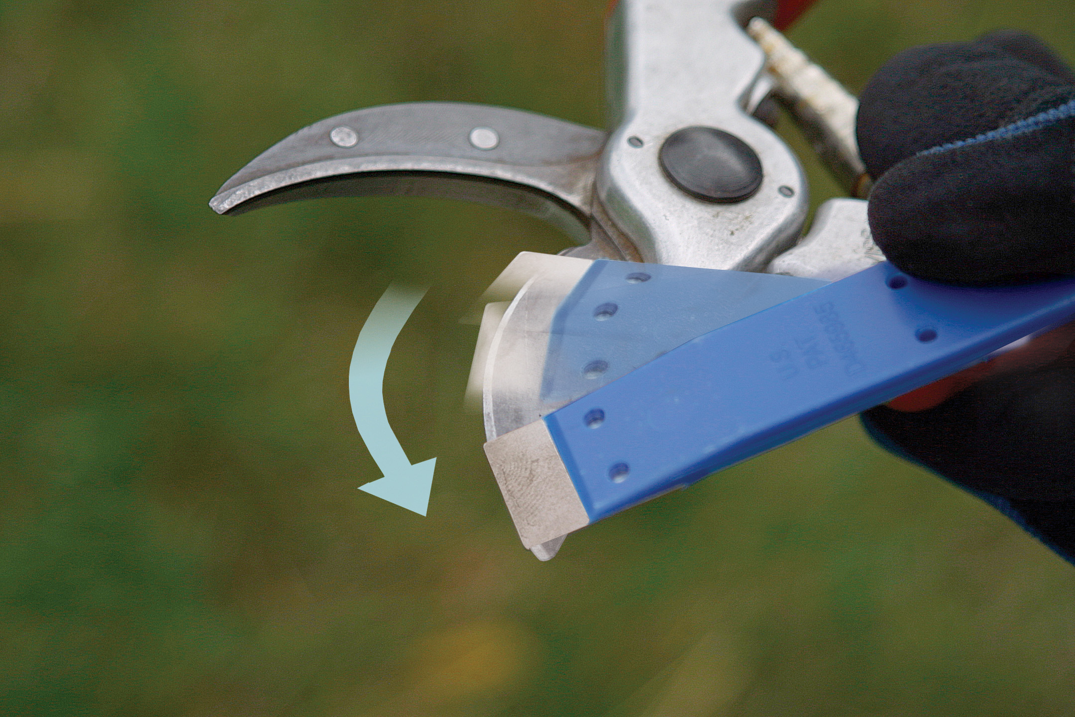 The Comprehensive Way to Sharpen Pruners FineGardening