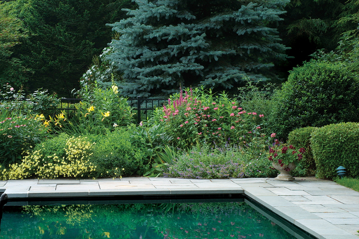 сажать подальше от дорожек