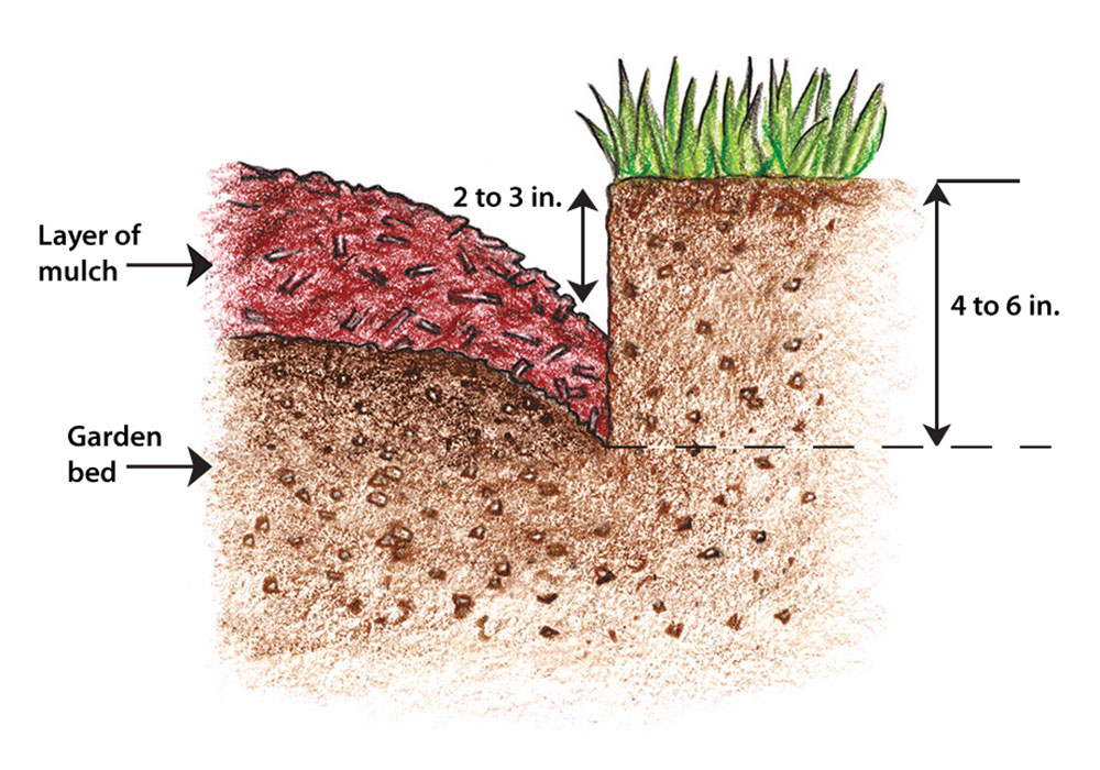 How to Create Perfect Edges for Your Garden Beds and Borders