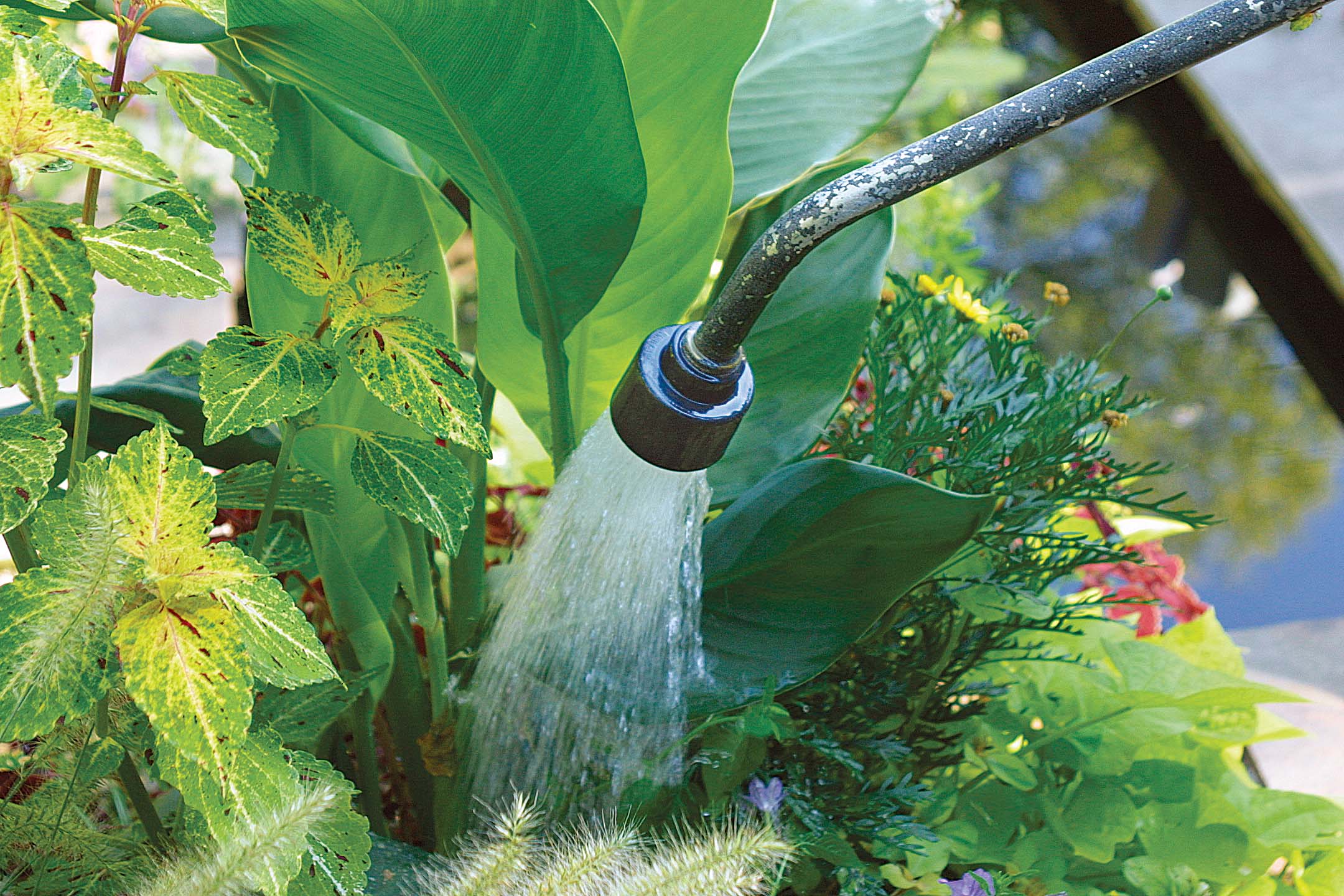 How to Water Your Garden Sustainably FineGardening