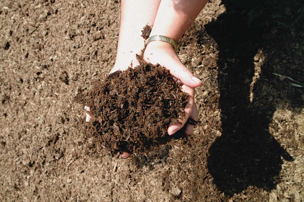 Tips to Design a LowMaintenance Garden FineGardening