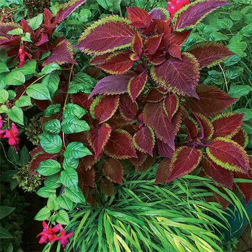 How to Create Balance in the Garden Fine Gardening