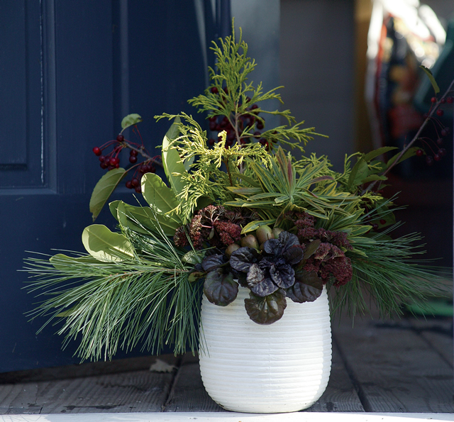 Winter Container Arrangements From Your Sleeping Garden FineGardening