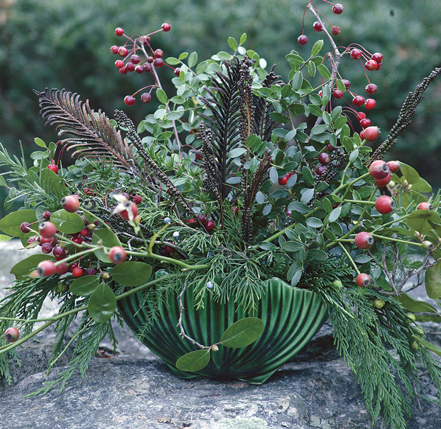 Winter Container Arrangements From Your Sleeping Garden FineGardening