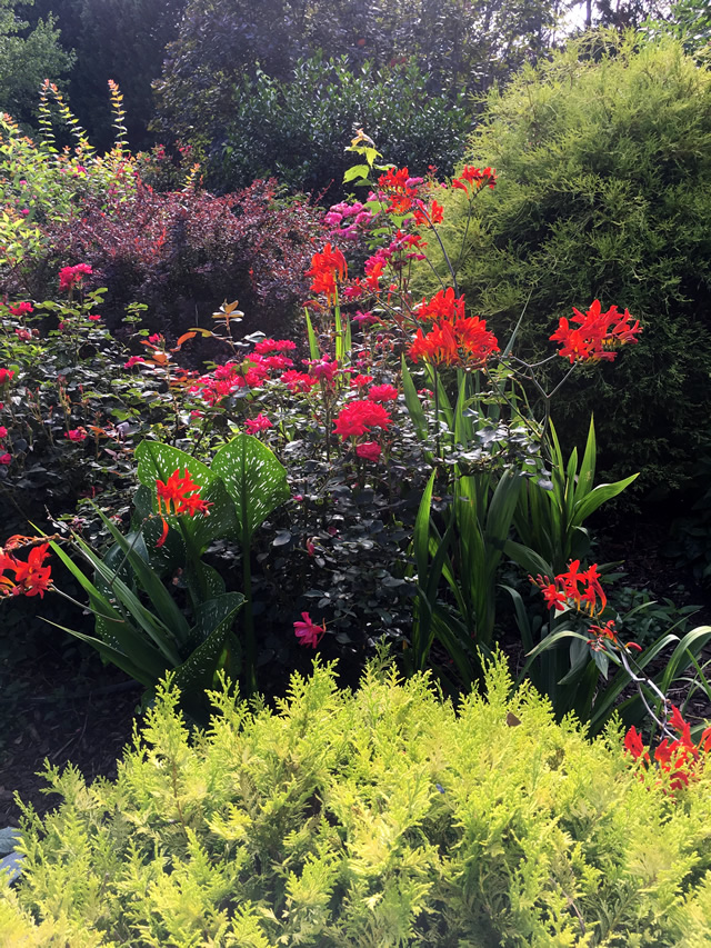 South Carolina Blooms Entice FineGardening
