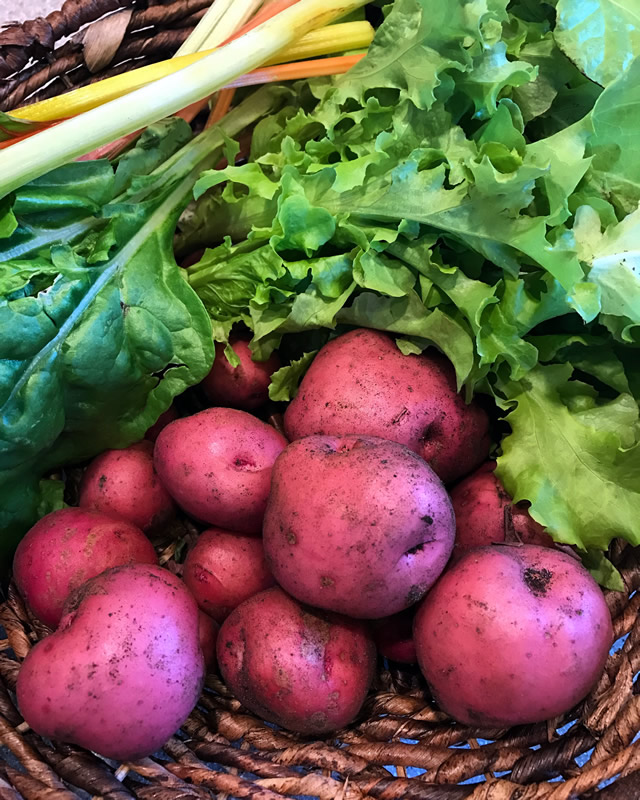 Rewarding Vegetable Gardening in Wisconsin FineGardening