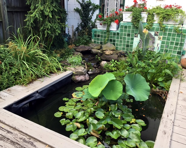 A Winning Garden in Maryland - FineGardening