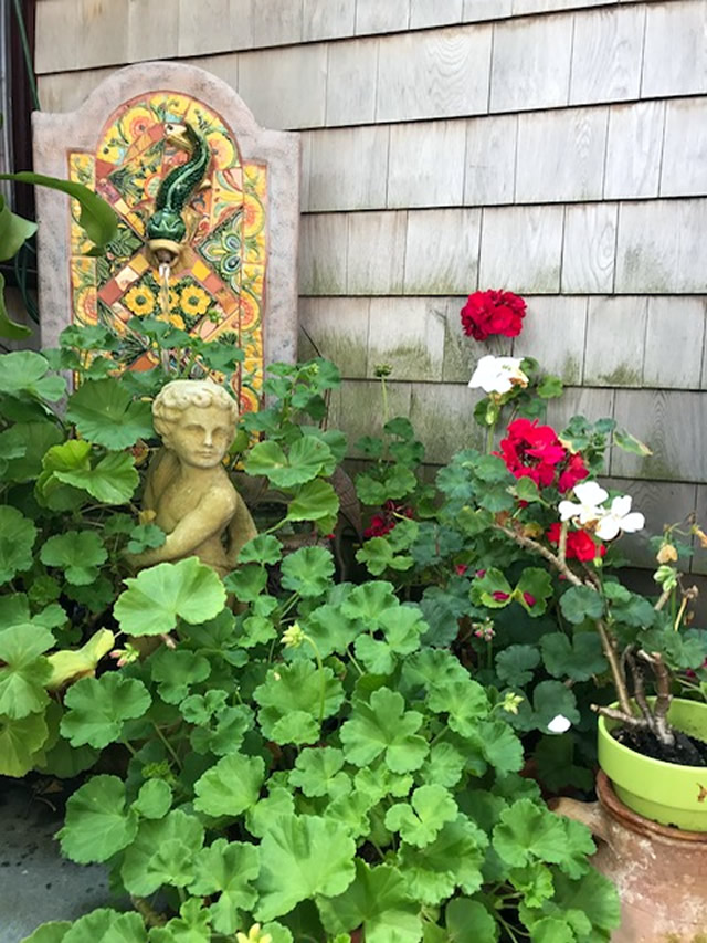 Highlights from the Gloucester Garden Tour FineGardening