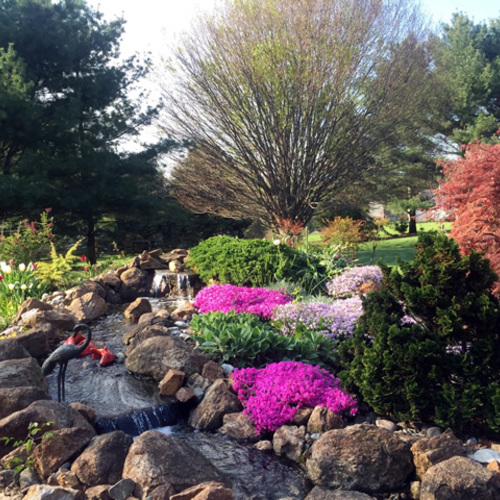 Splashes of Spring in Pennsylvania - Fine Gardening