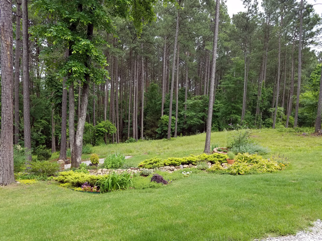 A Young Garden in AR - FineGardening