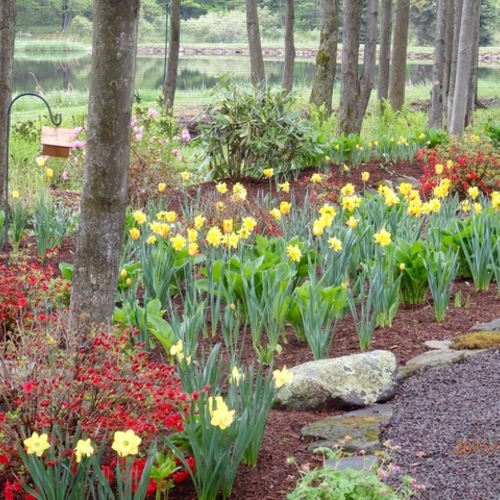 Springtime at Stonehedge FineGardening