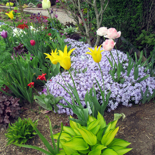 The Lushness of Springtime - Fine Gardening