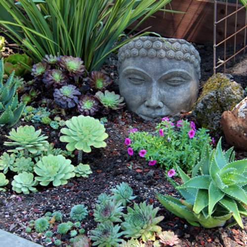 Good Soil Makes for One Heck of a Garden in CA - Fine Gardening