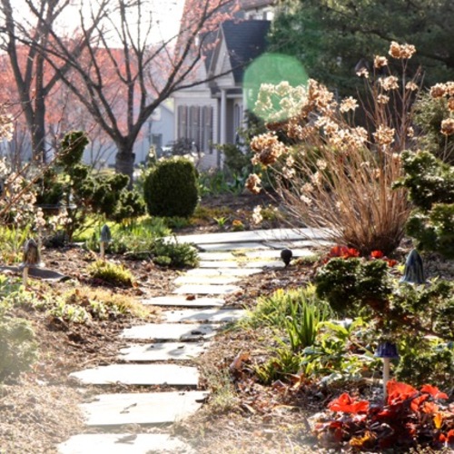 Itching for Spring in PA - Fine Gardening