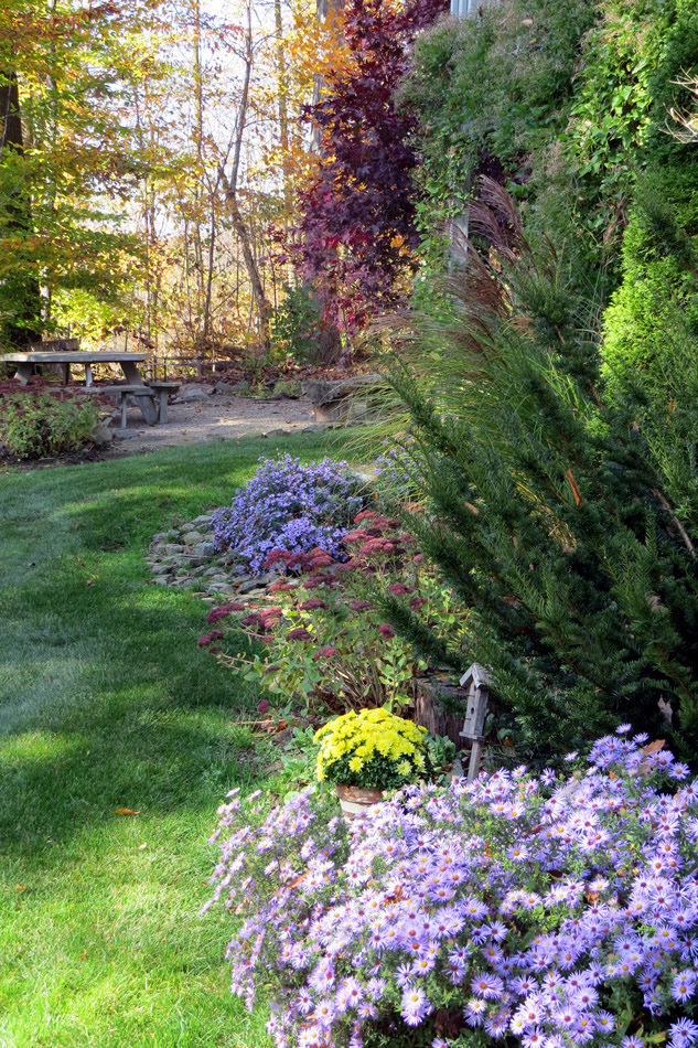 Too Soon For Fall FineGardening