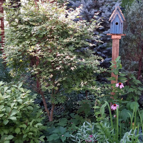 Which comes first, the garden or the house? - FineGardening