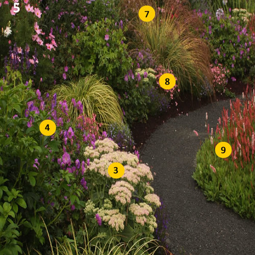 One Peak Four Season of Interest Plant IDs FineGardening