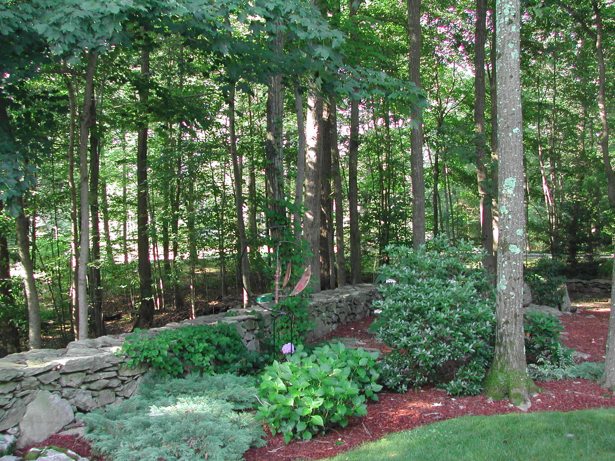 Sandy's garden in Connecticut FineGardening