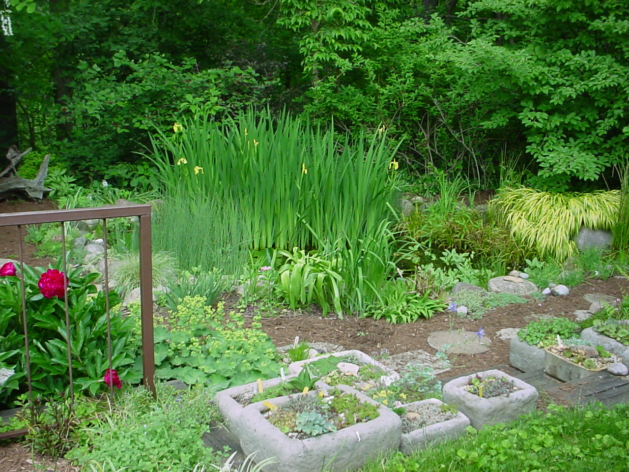 Peg's garden in Michigan, Day 1 FineGardening