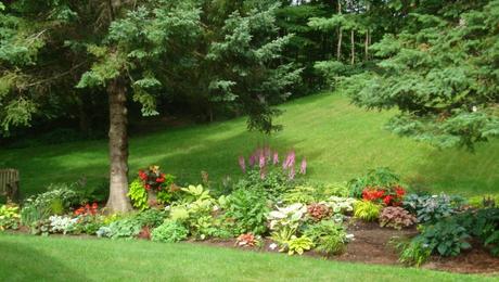 Beautiful Combinations in Wisconsin - FineGardening