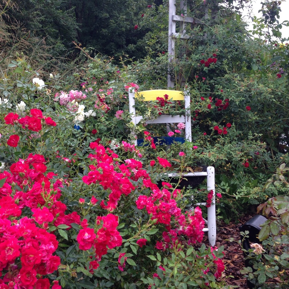 The Lake Lure Flowering Bridge in North Carolina FineGardening