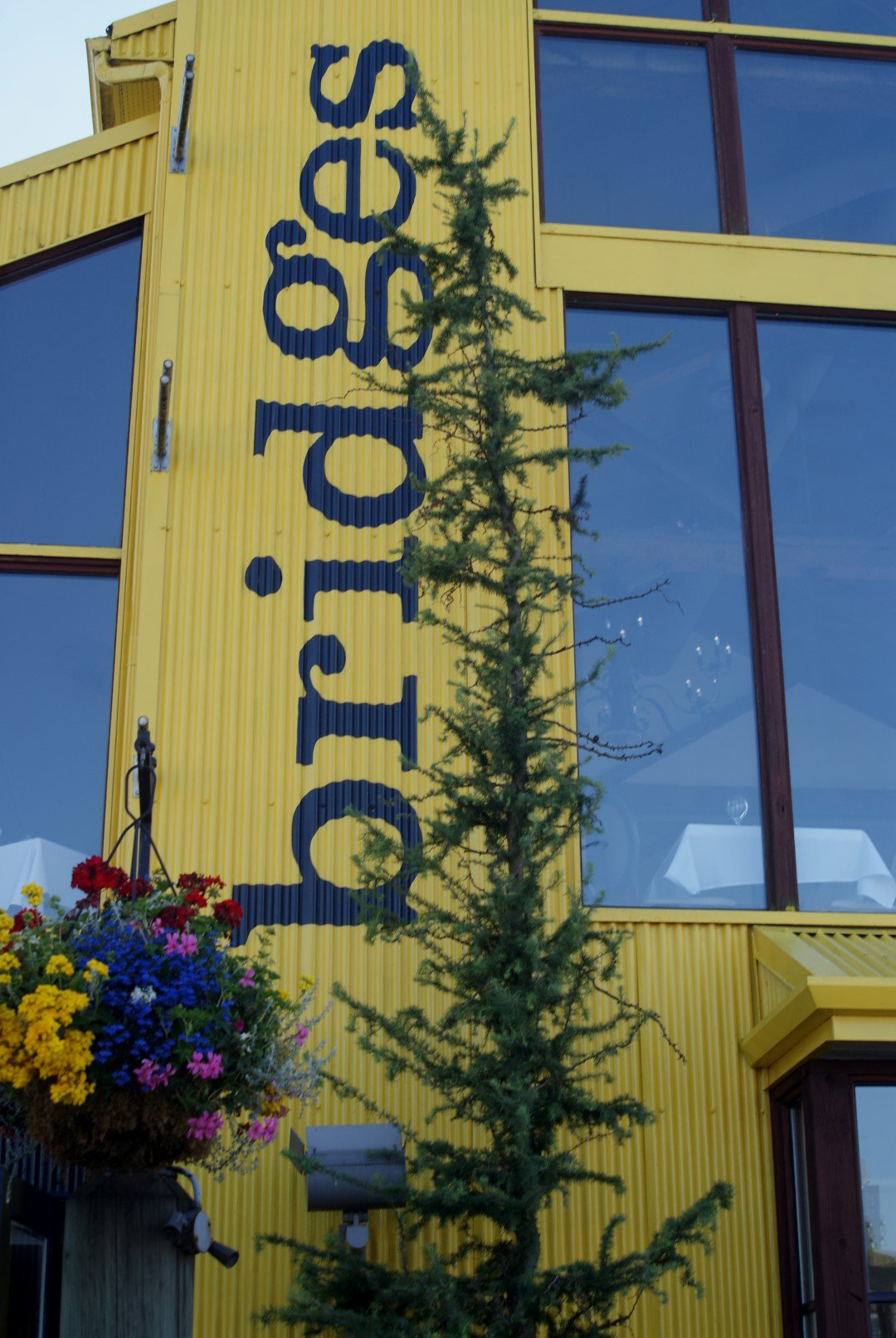 Cherry spotted some spectacular containers! FineGardening