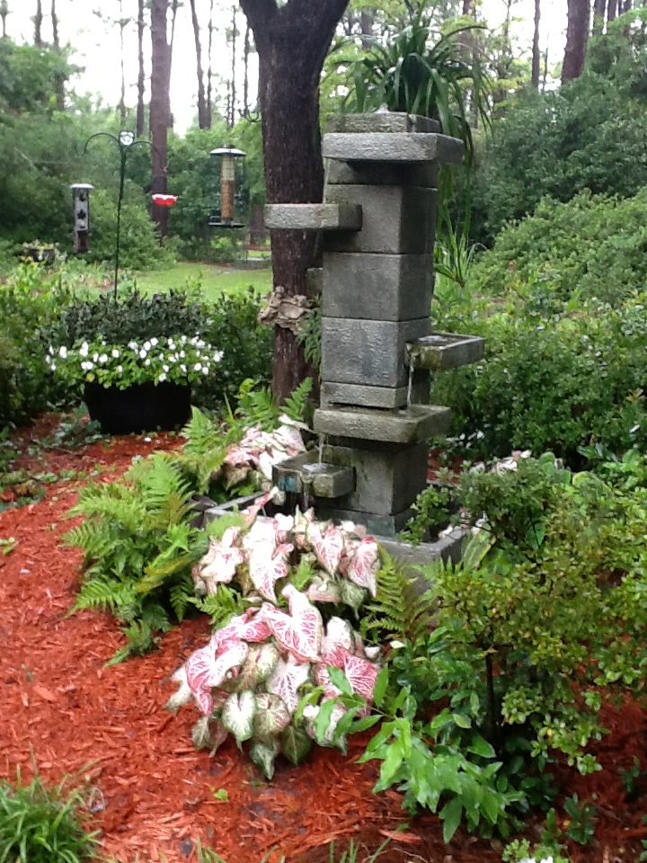Linda's Coastal North Carolina Garden FineGardening