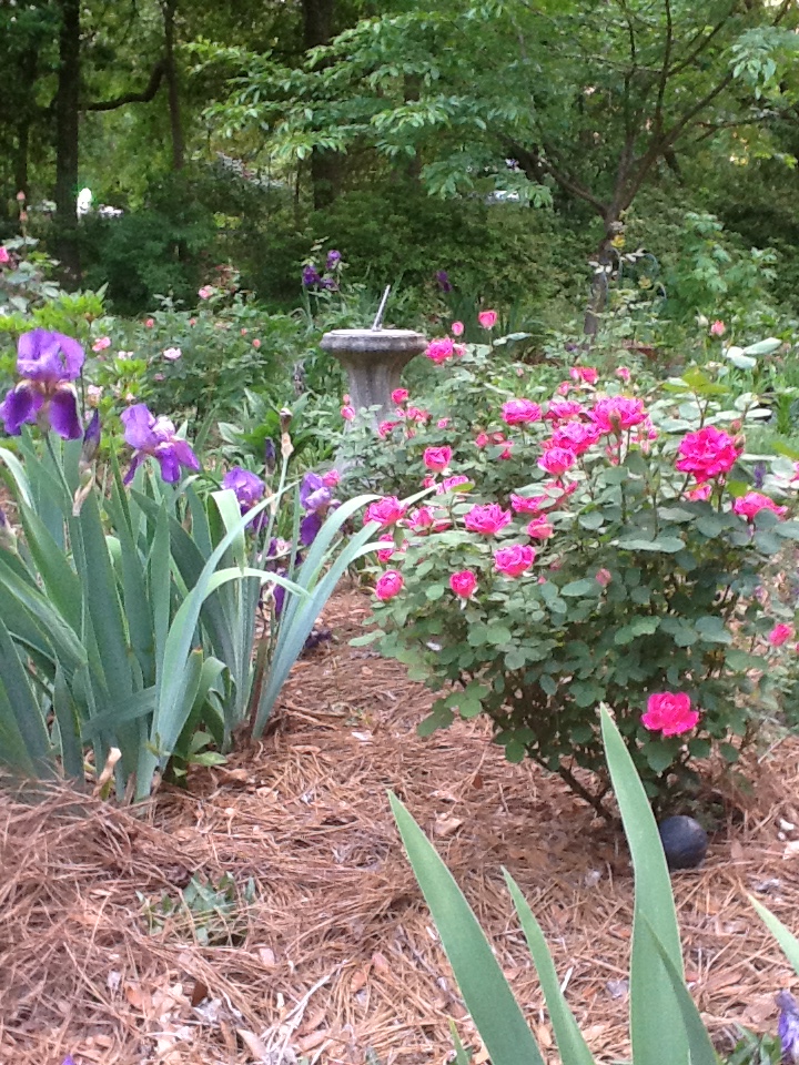 Linda's Coastal North Carolina Garden FineGardening