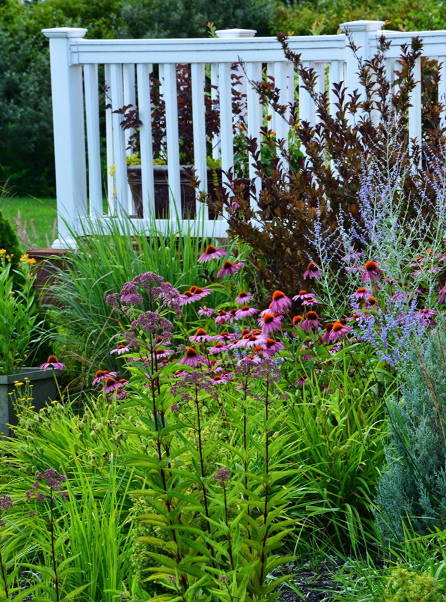 Native plant nursery nj Idea