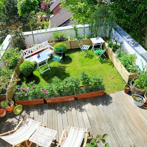 Tobias's rooftop garden in Berlin FineGardening