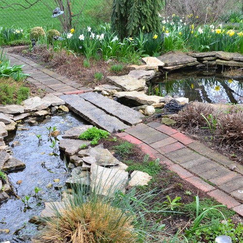 Spring in Deborah's garden in Illinois - Fine Gardening