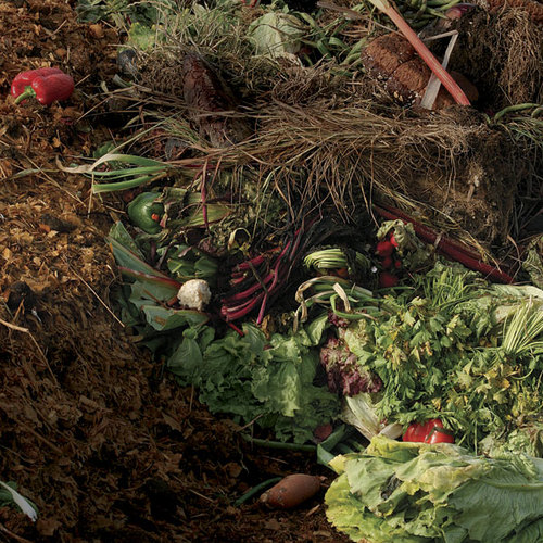 Demystifying Compost More Composting Questions Answered FineGardening