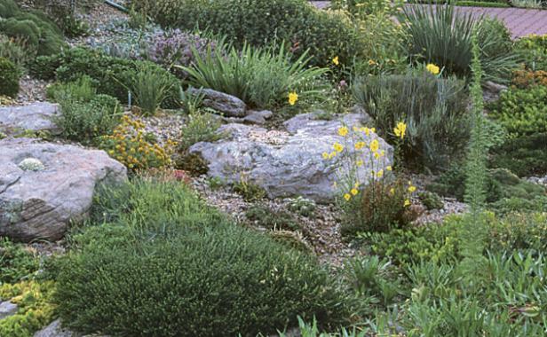 Rock Garden Primer - FineGardening