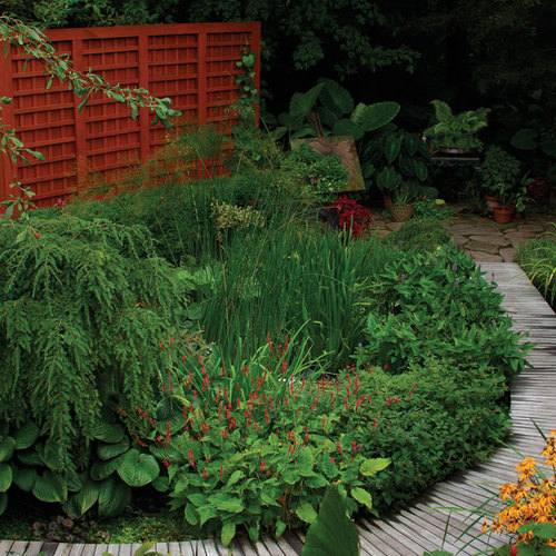 How to Plant in a Muddy Spot