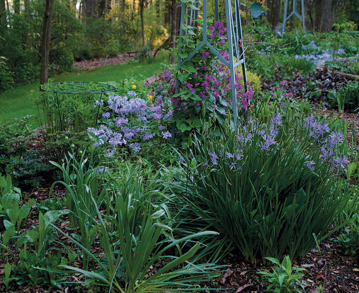 How to Avoid Staking Plants FineGardening