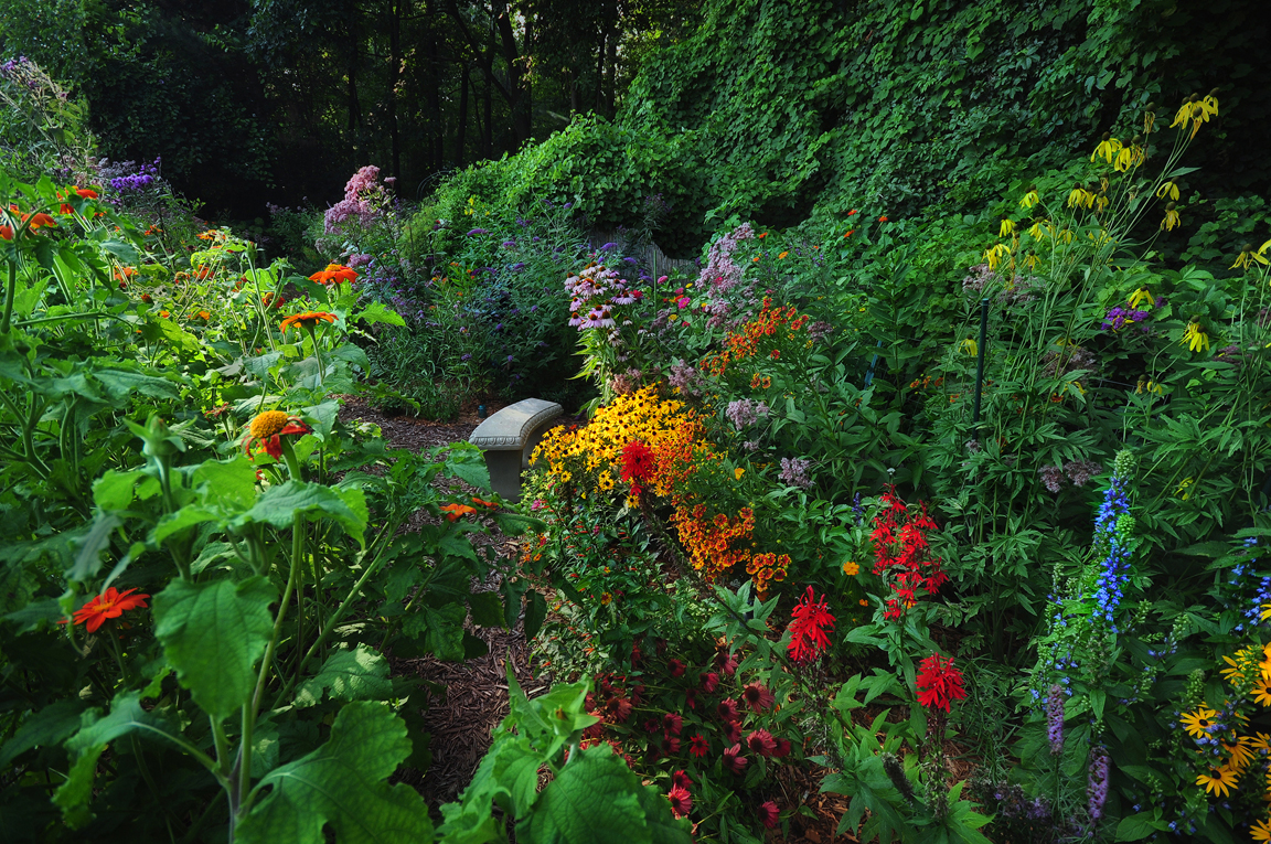 John's butterfly garden in Michigan FineGardening