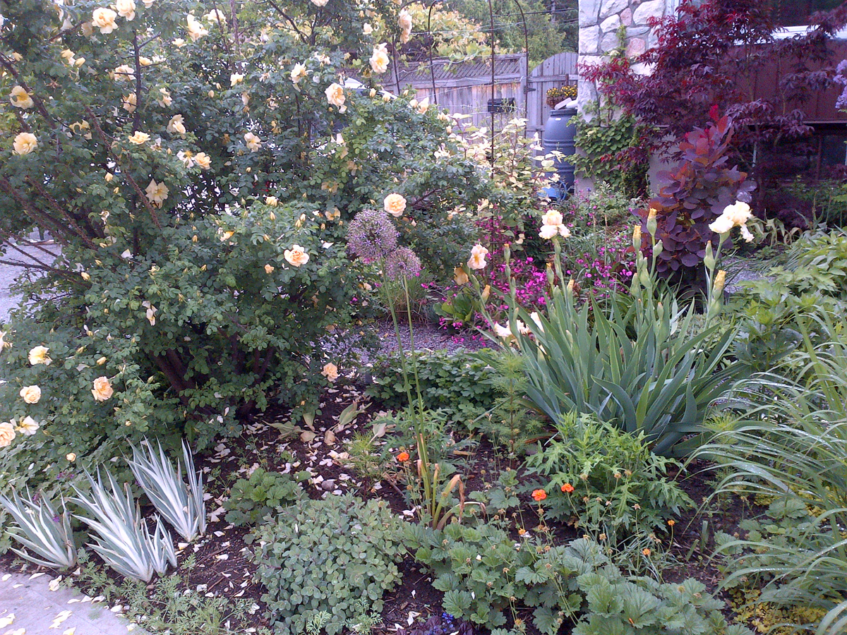 Anne's garden in Quebec FineGardening