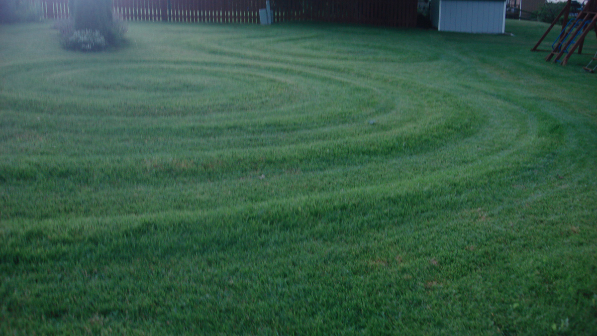Jon's sculptural lawn in Ohio, revisited FineGardening