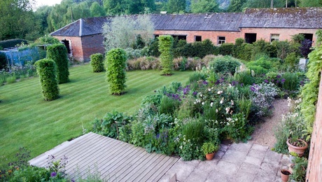 Allium An Onion By Any Other Name Finegardening