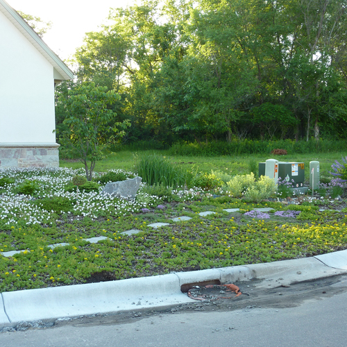 Kristin's nolawn yard in Minnesota Fine Gardening