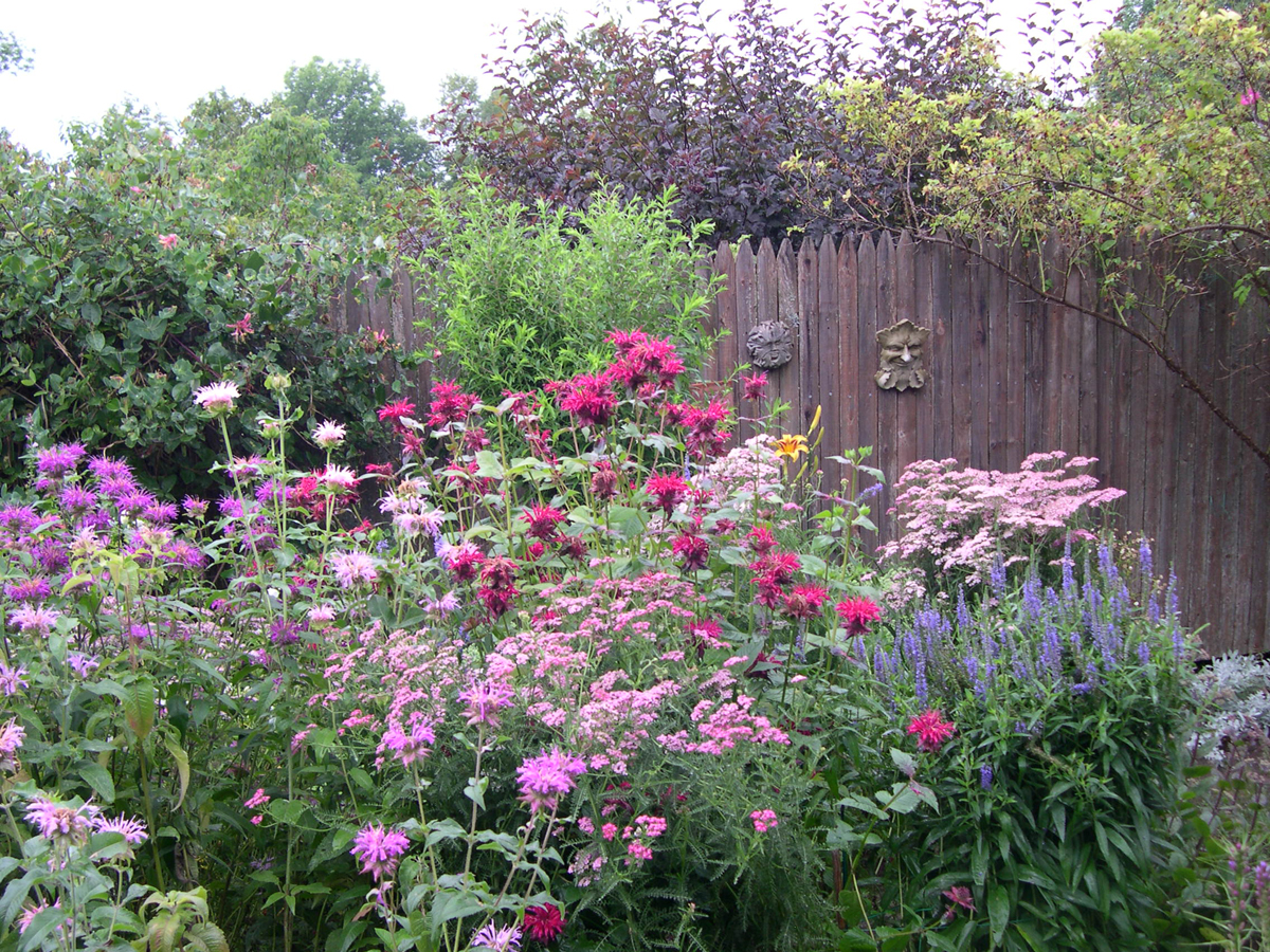 Scenes from a Maine garden tour FineGardening