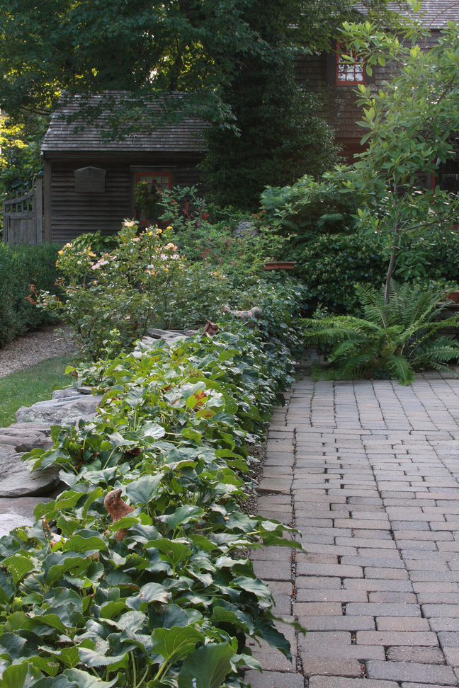 Web Extra: A garden that looks just as good in winter - FineGardening