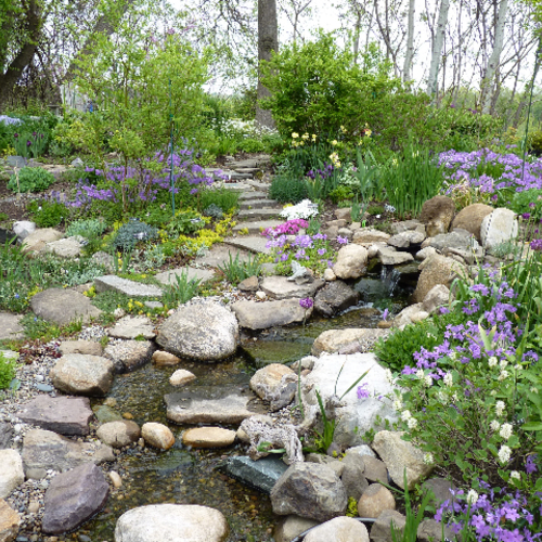 READER PHOTOS! Betsy's garden in New York - Fine Gardening